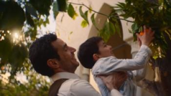 IM SCHATTEN DES ORANGENBAUMS