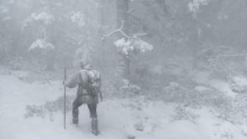 DAS FLÜSTERN DER WÄLDER